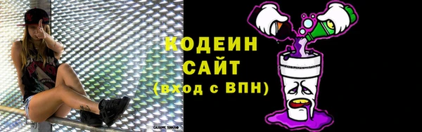 индика Зеленодольск