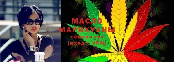 индика Зеленодольск