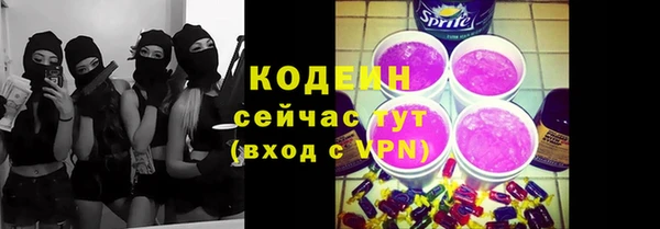 индика Зеленодольск