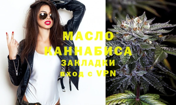 индика Зеленодольск