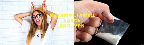 индика Зеленодольск