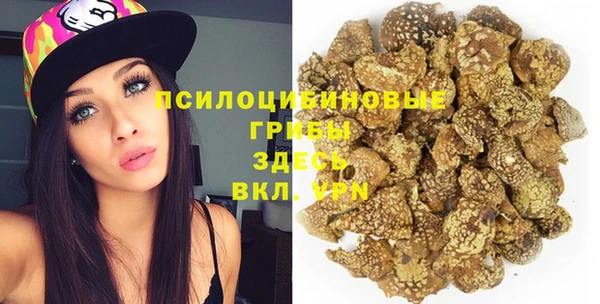 индика Зеленодольск