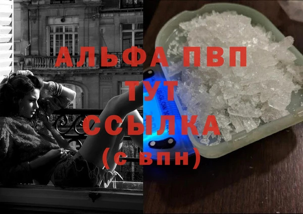 стаф Зеленокумск