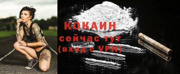 стаф Зеленокумск