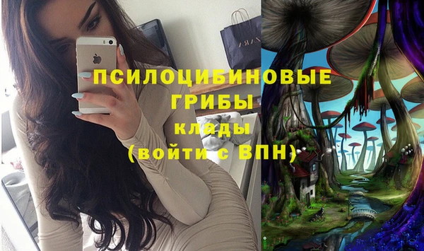 эйфоретик Зерноград