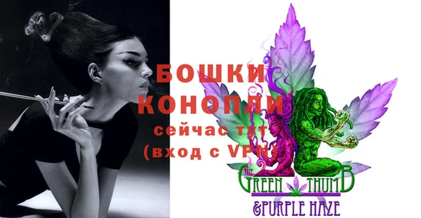 индика Зеленодольск